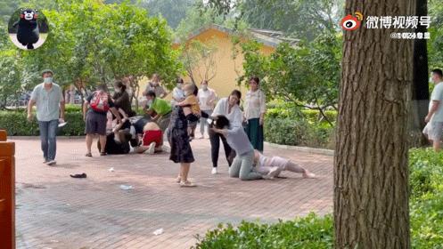 北京动物园打架事件原因是什么,北京动物园家长事件