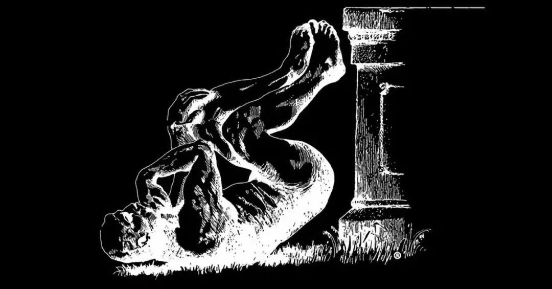 *行为性**能让鼻子更通气；留着长胡子更抗打？今年的搞笑诺奖它来了