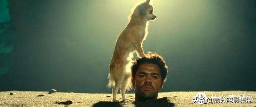 7部让你周末开怀爆笑的电影,过年必看的十部喜剧电影