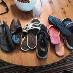 昨晚，我家猫叼来了一件蕾丝内衣…