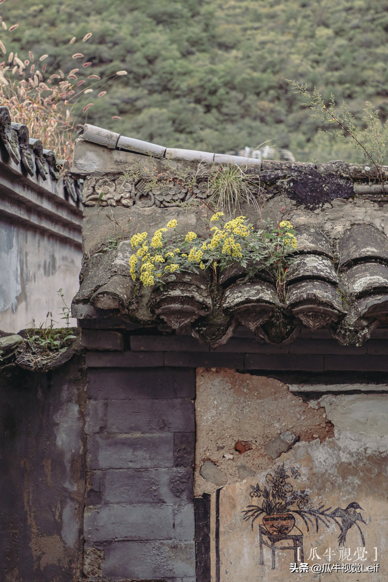 京西灵山骑行「瓜牛/骑意」