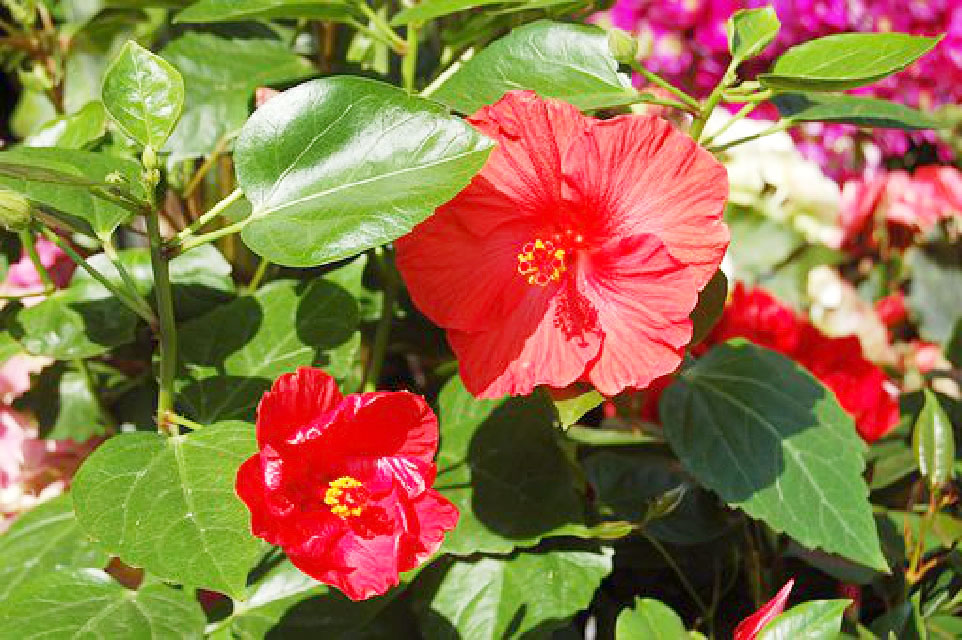 比较饱含深意的个性签名,好的个性签名简短又有意义