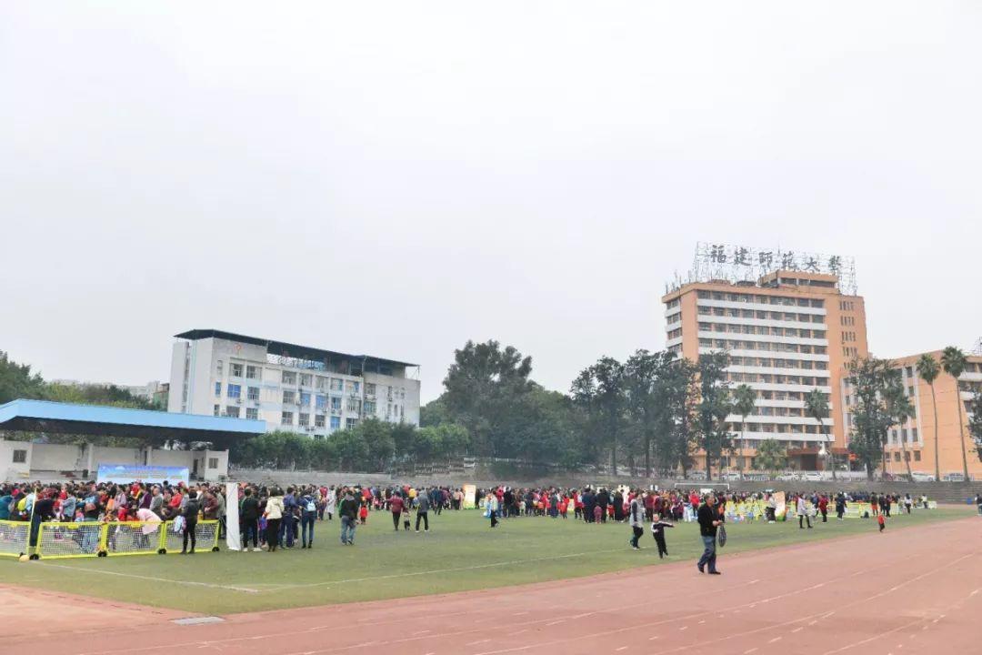 派迪茵体育有限公司,派迪茵体育直播