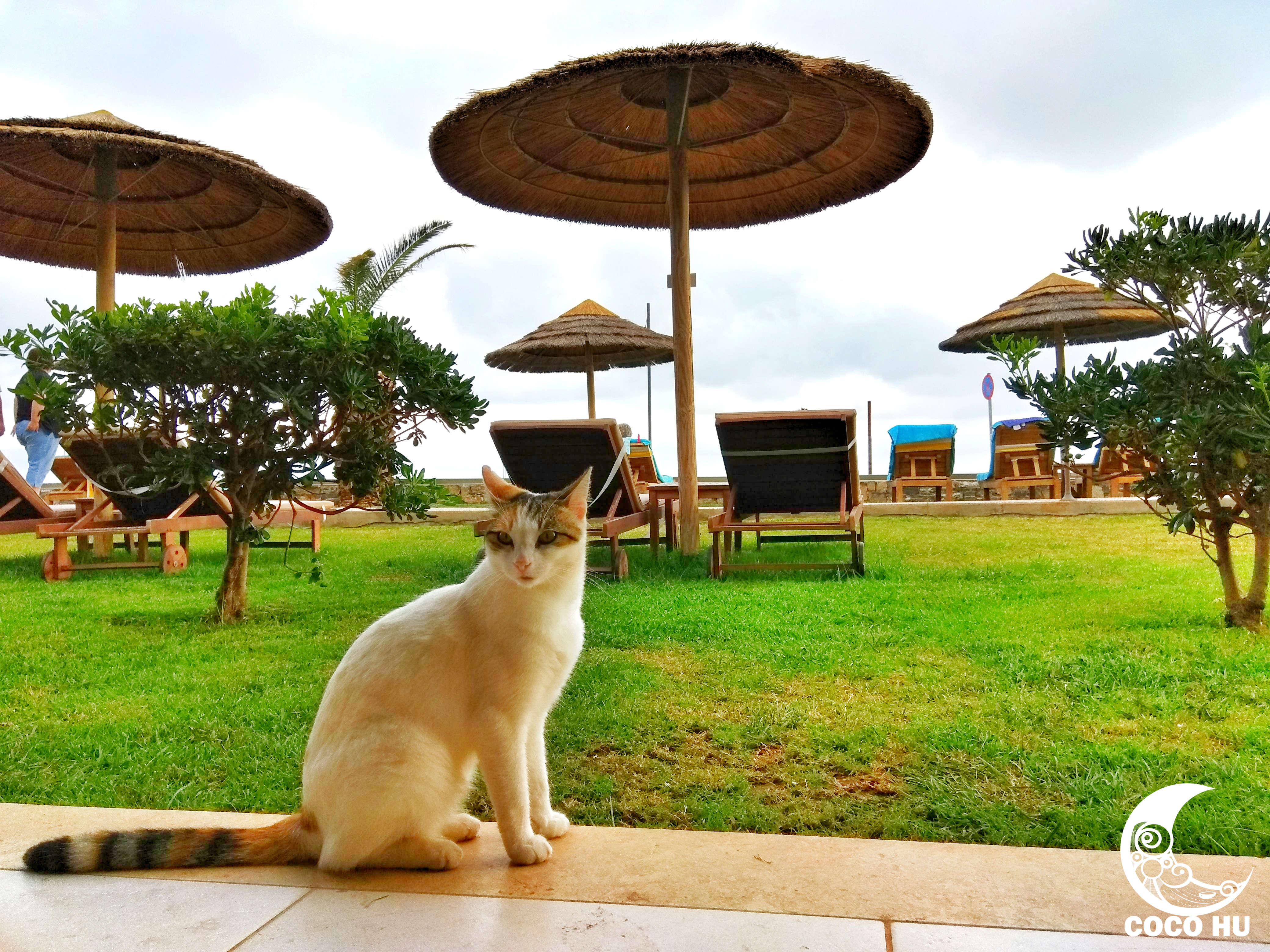 克里特文明与古埃及文明的联系,希腊克里特岛文明