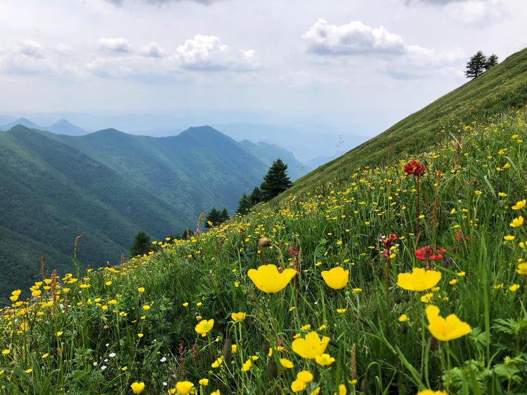 小五台山景区游玩攻略,小五台山快乐一日游