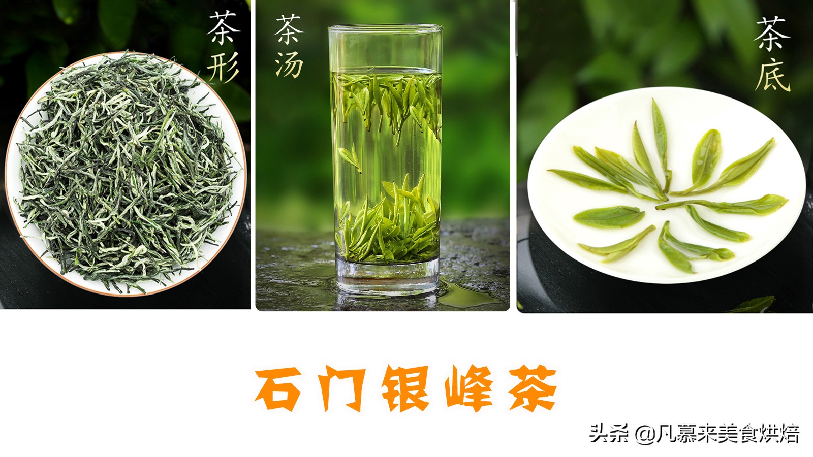 茶叶十大名茶代表茶叶品种,茶叶品种最好的茶是什么茶类呢