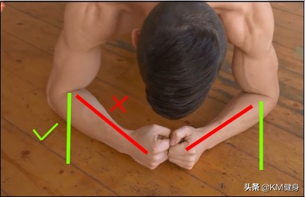 平板支撑锻炼的是哪里的肌肉群,平板支撑锻炼到的肌群