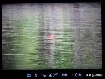 聚焦区域和自动对焦模式的选择,6d对焦模式和对焦区域