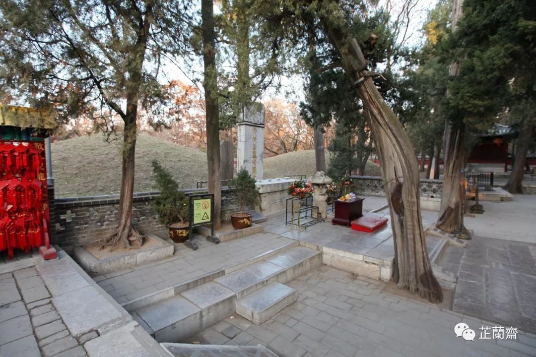 孔林各个时代的墓葬,孔林埋葬孔子家族墓葬多少座