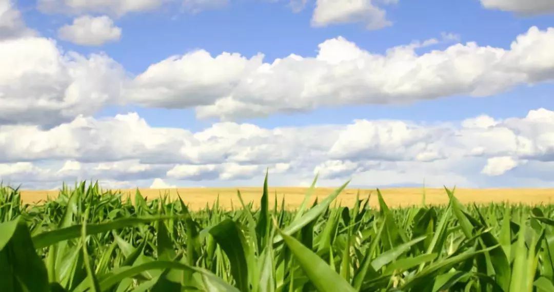 台湾精致农业与乡村旅游,台湾休闲农业和乡村旅游