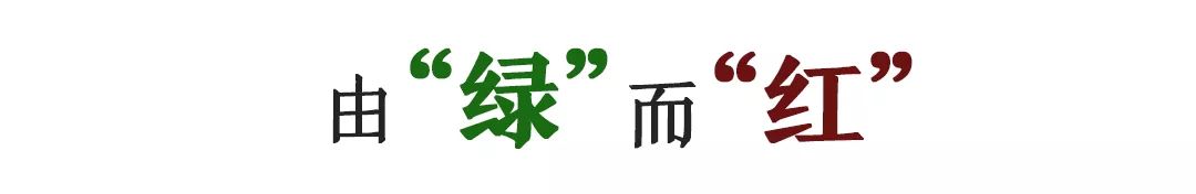 安徽未来十年发展规划宁国,安徽县域经济排名宁国