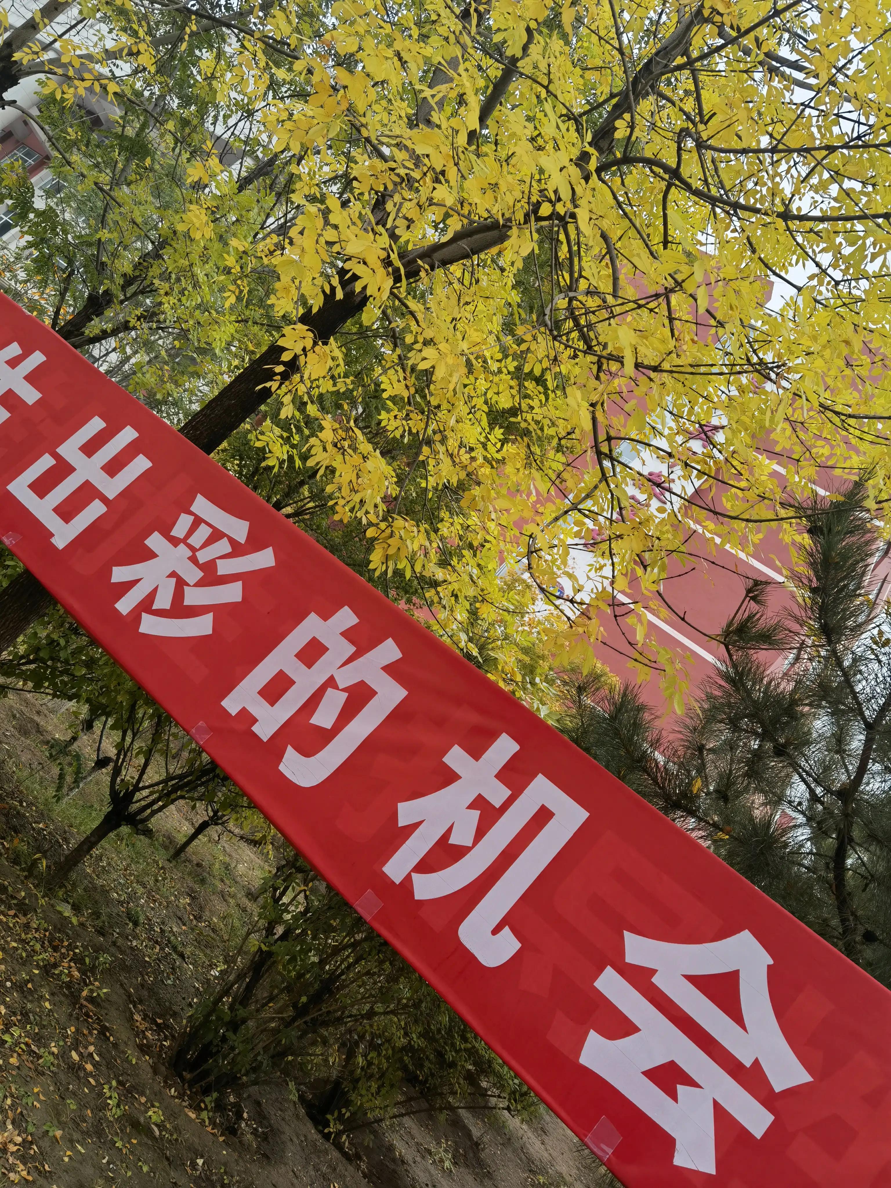 无论你考多少分都能有提升,不要一见面就问考了多少分