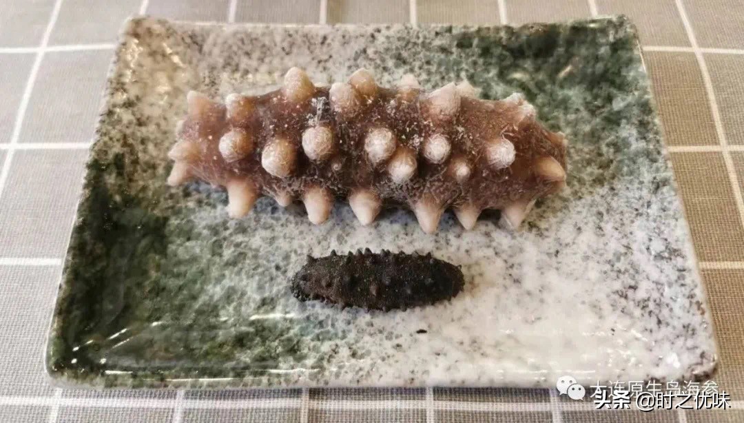 人工养殖的海参与辽参的营养区别,养殖参和野海参的营养区别