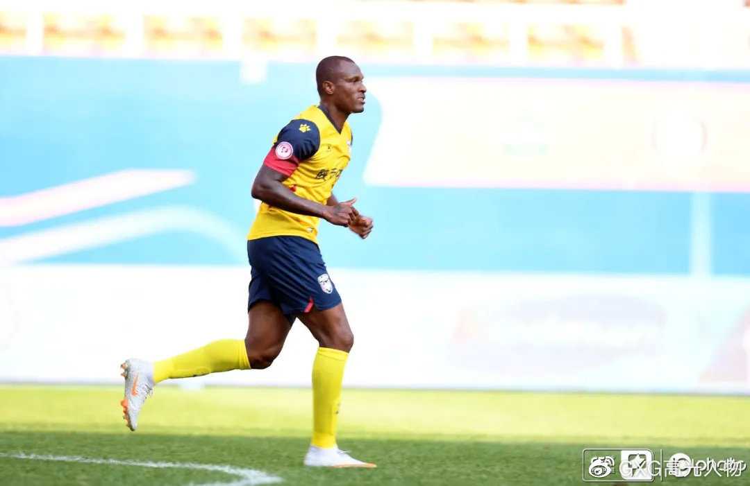 西北狼vs北美灰狼,西北狼vs西伯利亚狼