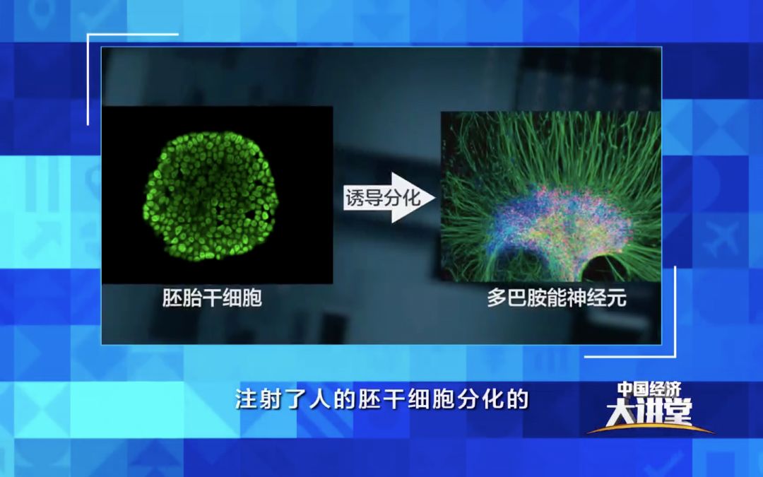 干细胞有哪些新突破,干细胞技术到底能为我们做什么