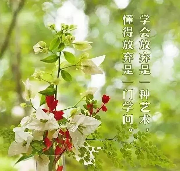 早晨问安：生命中，有风，有雨，但别忘也会有阳光，早晨好！