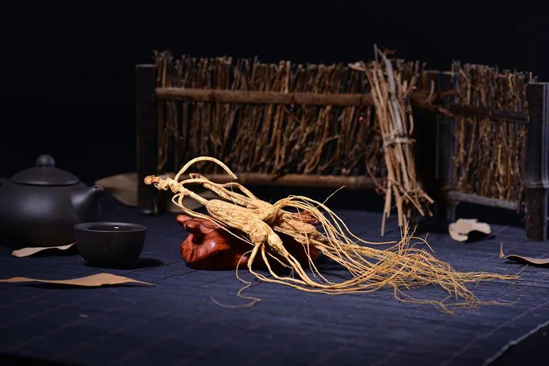 人参补气中药配方,每天轻松学习一味中药之人参