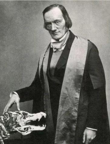 恐龙这么多为什么发现化石这么少,恐龙为什么有大量化石