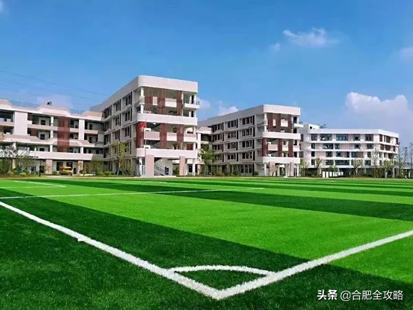 合肥市开学,合肥各校开学时间