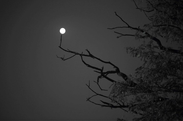 世态炎凉人情淡薄名句,人情冷暖世态炎凉下句