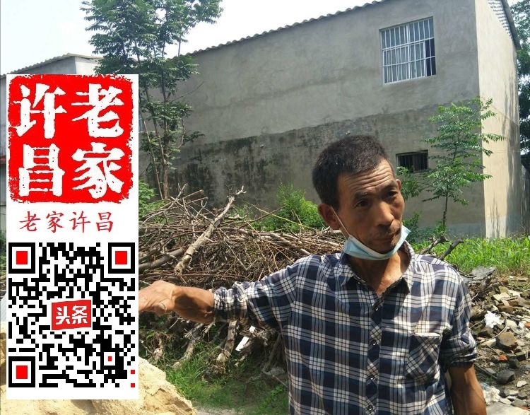 许昌老池的奥妙：井中曾有鱼，土中有龙骨