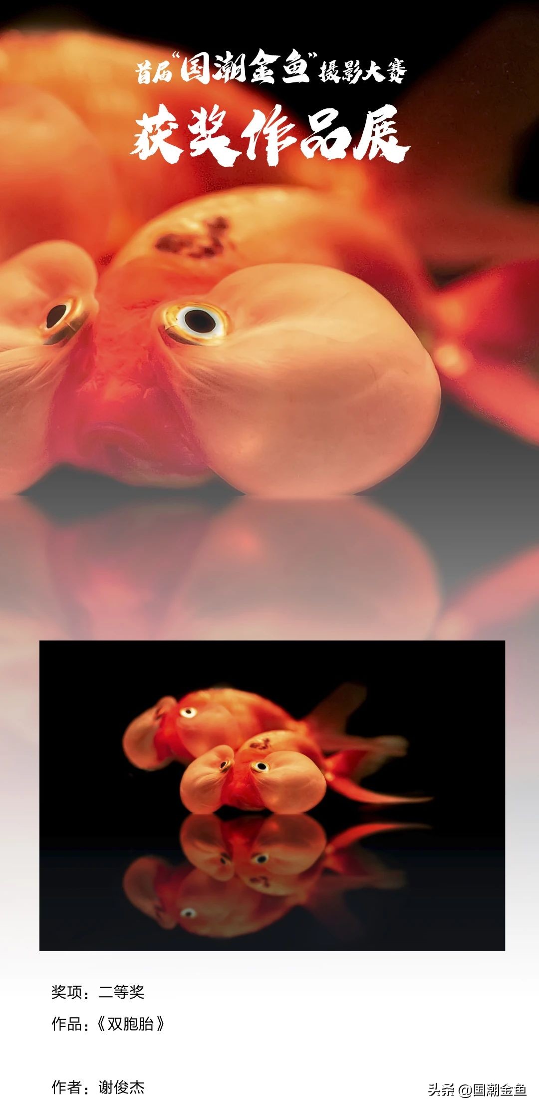 鍥芥疆閲戦奔鎽勫奖,涓浗閲戦奔鎽勫奖