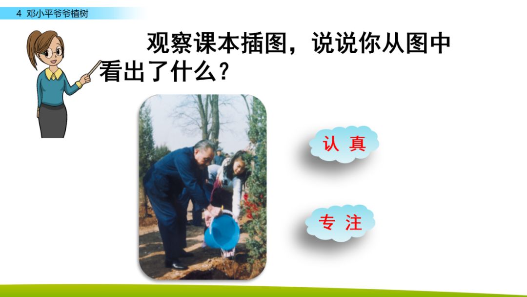 部编版二年级下册语文第4课《*小平邓**爷爷植树》知识点+图文讲解