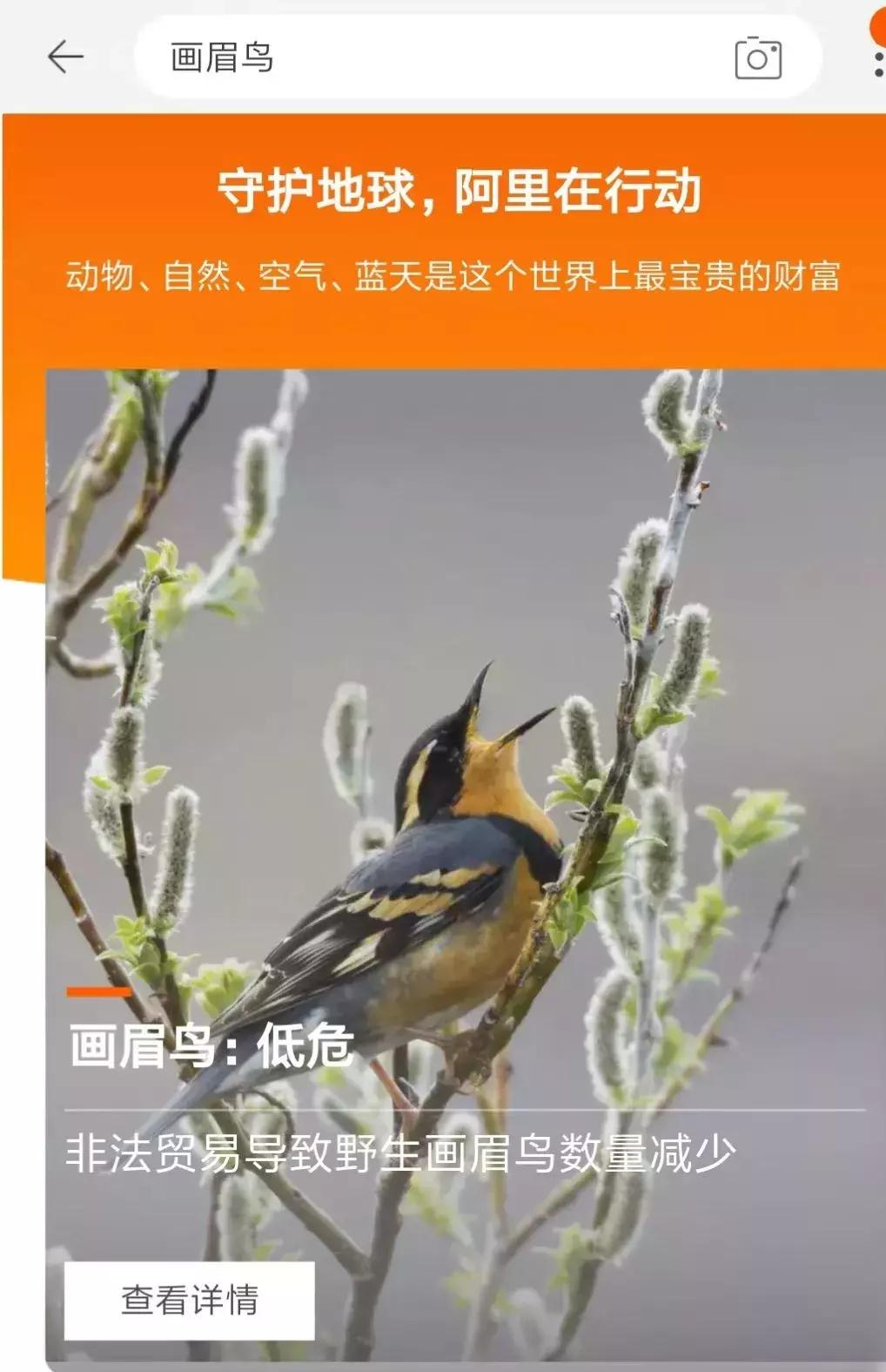 我在闲鱼被骗,我在闲鱼上面被骗了怎么办