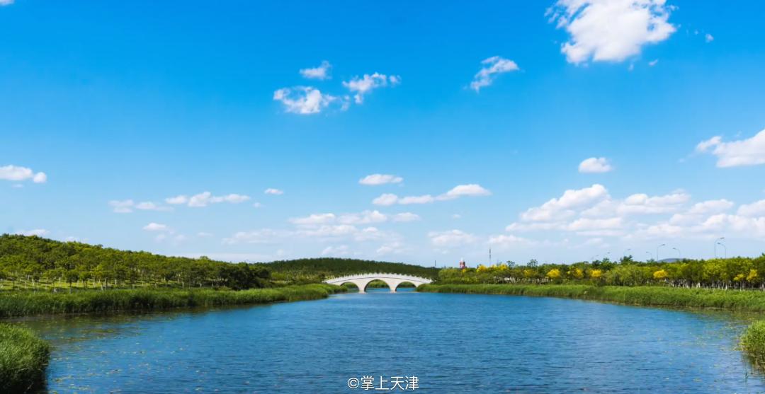 低调的王者完整版,低调的王者奥迪