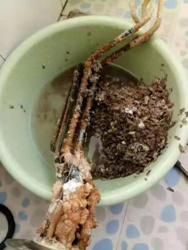 家电水管不清洗危害视频央视,忽视健康问题有啥危害