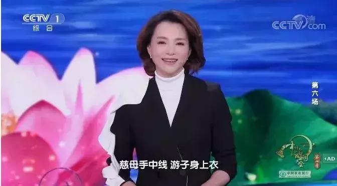 董卿一至九场的诗词大会开场词,董卿演讲的中国诗词开场诗