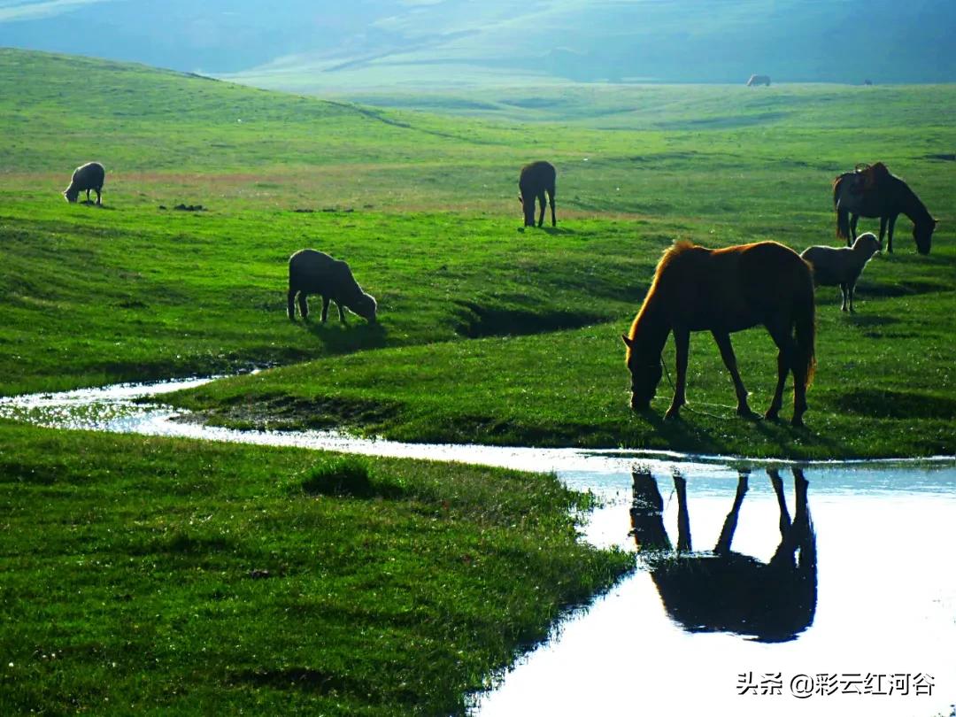 中国云南哪里好看,云南的云彩为什么好看
