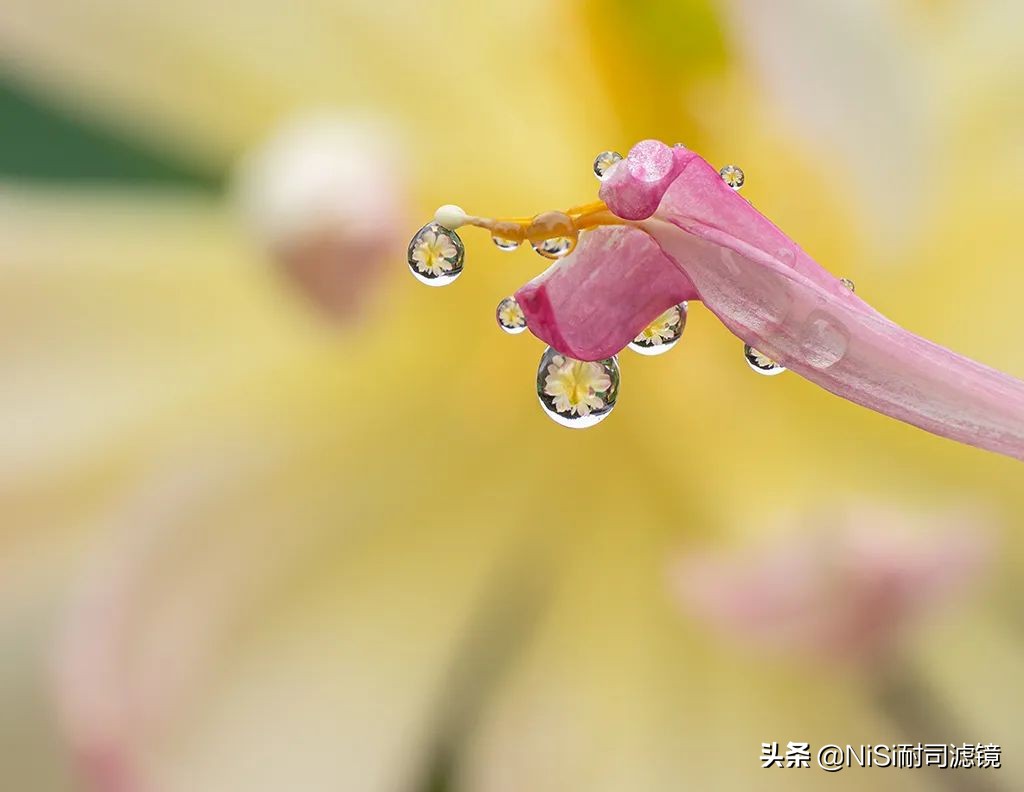 相机微距滑轨,微距镜头滑轨