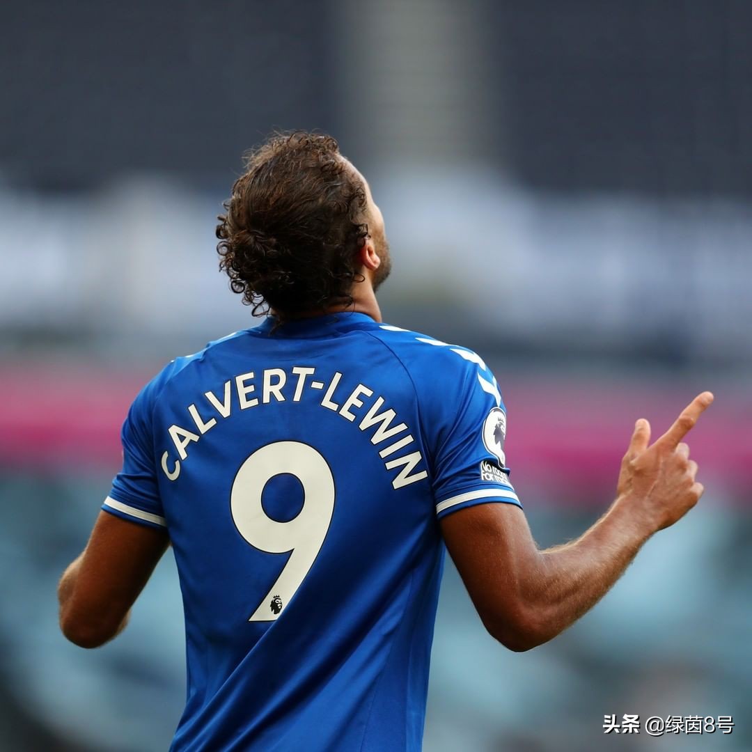 当红炸子鸡维尔茨,当红炸子鸡惹人喜爱