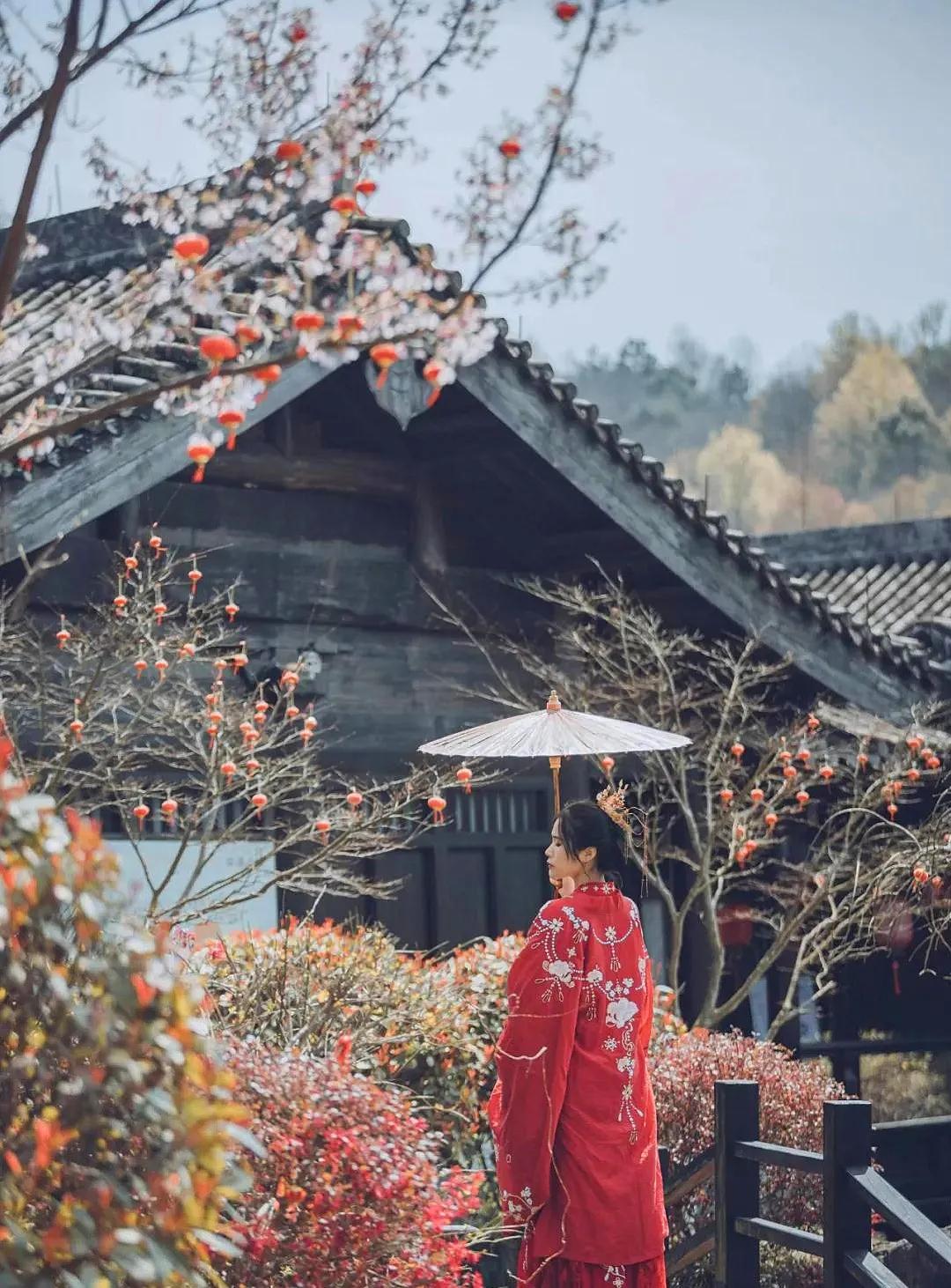 “海上小丽江”！这小城承包了海岛最美春色