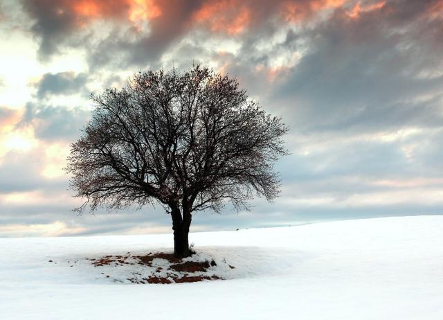 期货交易看趋势秘诀,期货最简单的看盘方法