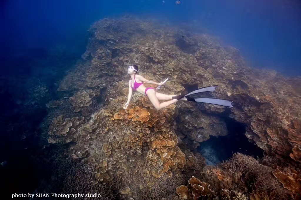 马尔代夫对比巴厘岛普吉岛帕劳,帕劳海滩自由潜水