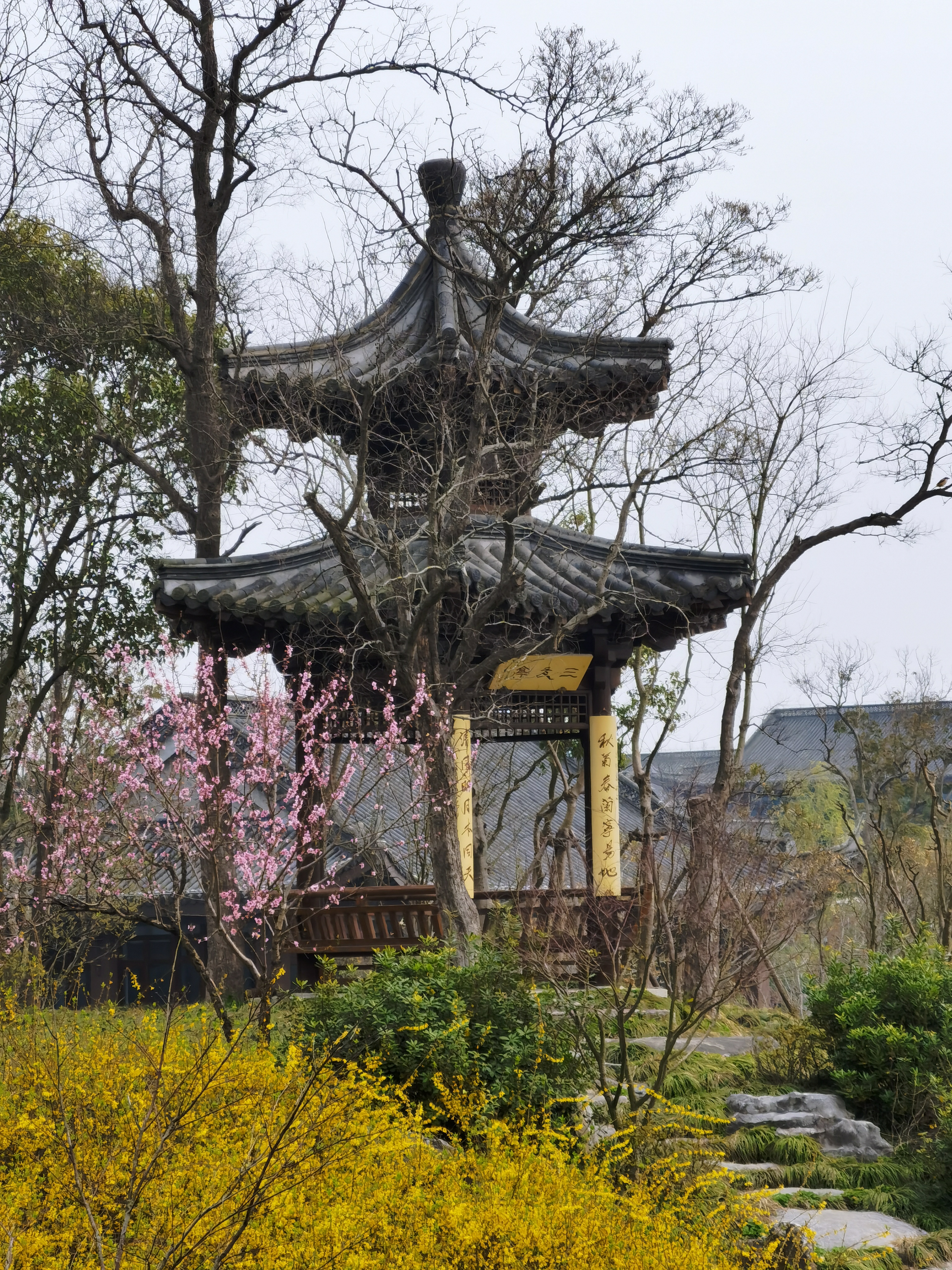 三月的瘦西湖到底有多美,瘦西湖景色到底有多美