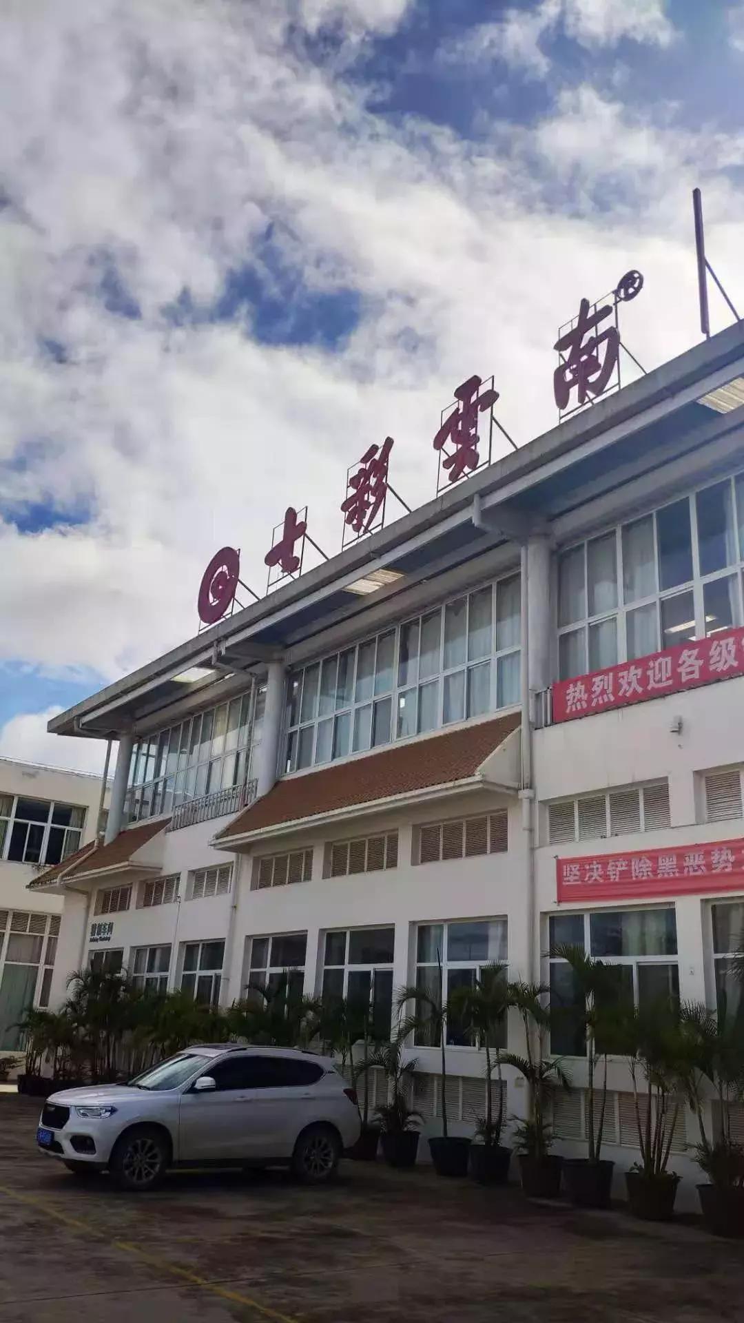 云南省普洱茶十大名茶,云南绿色食品十强评选办法