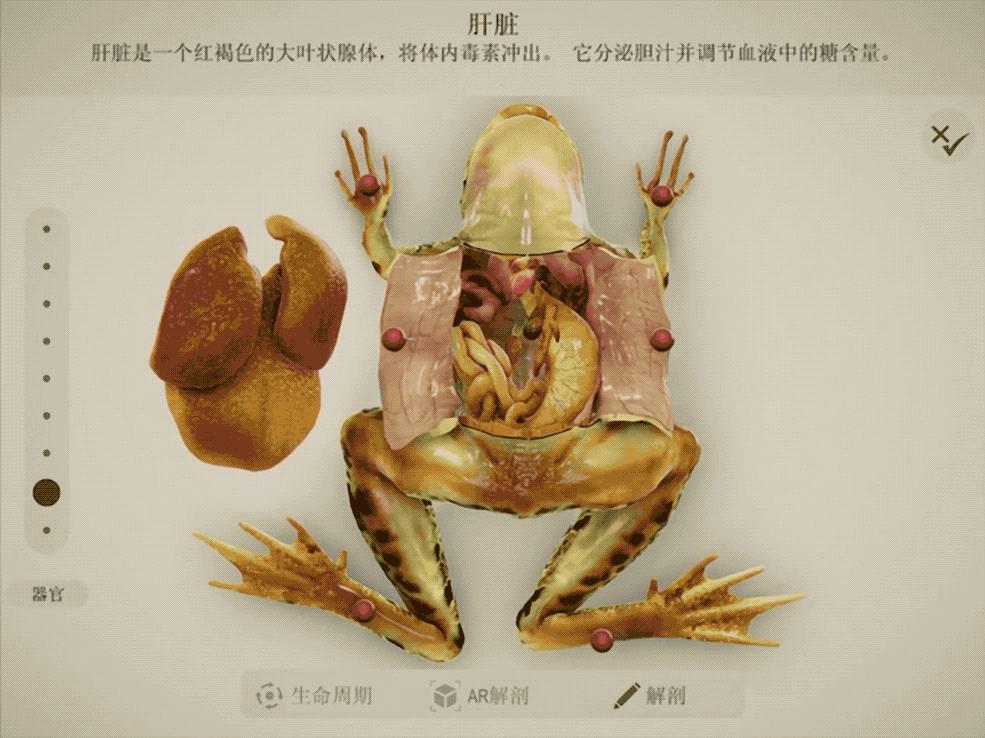 平板上用的小学生学习app,ipad能下载国家中小学生教育平台