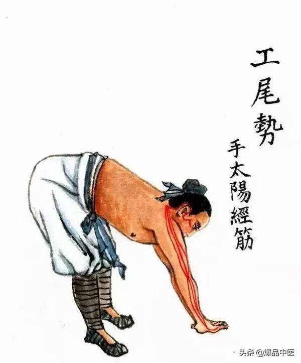 十二经筋连接动态图,十二经筋的图解