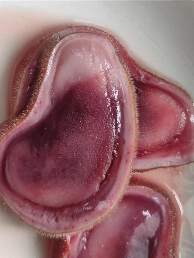 如何挑选购买鹿茸片,鹿茸片怎么挑选挑大的还是小的好