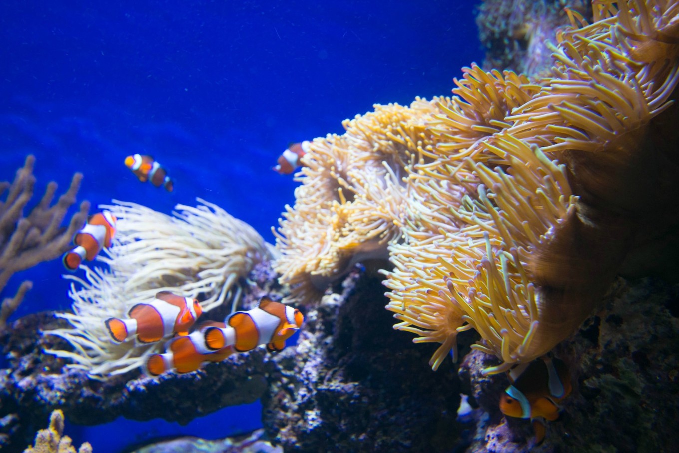 圣淘沙名胜世界攻略,请收下这份旅游攻略