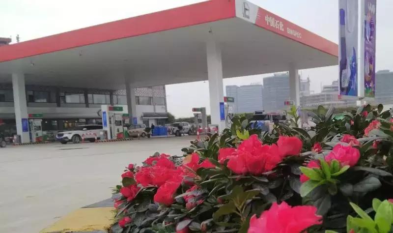 中石化加油站招聘工作人员,中石化加油站招聘有什么要求