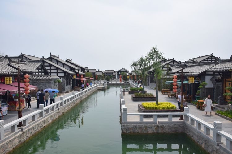 冬天来合阳，赏万顷芦荡，候鸟齐飞（组图）