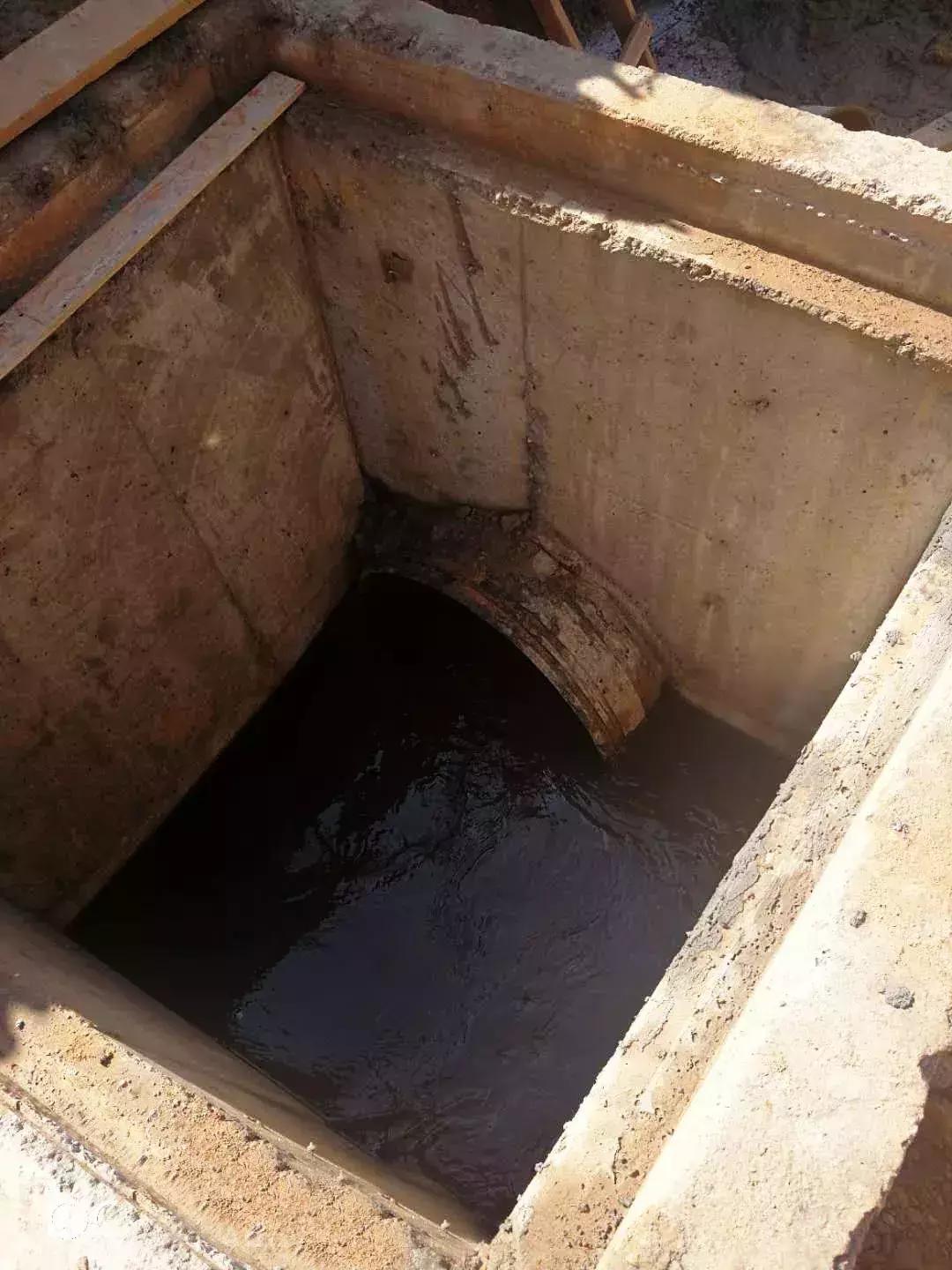 光明这些河流又有新变化，多个好消息密集来报~