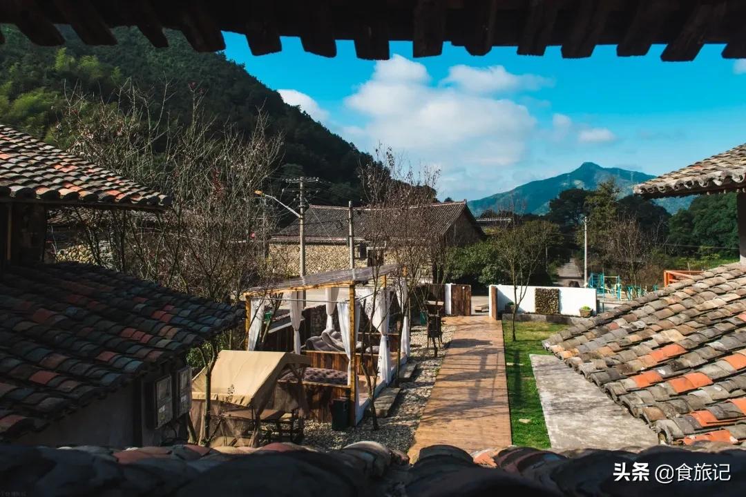 青田的青田,青田是中国的华侨之乡