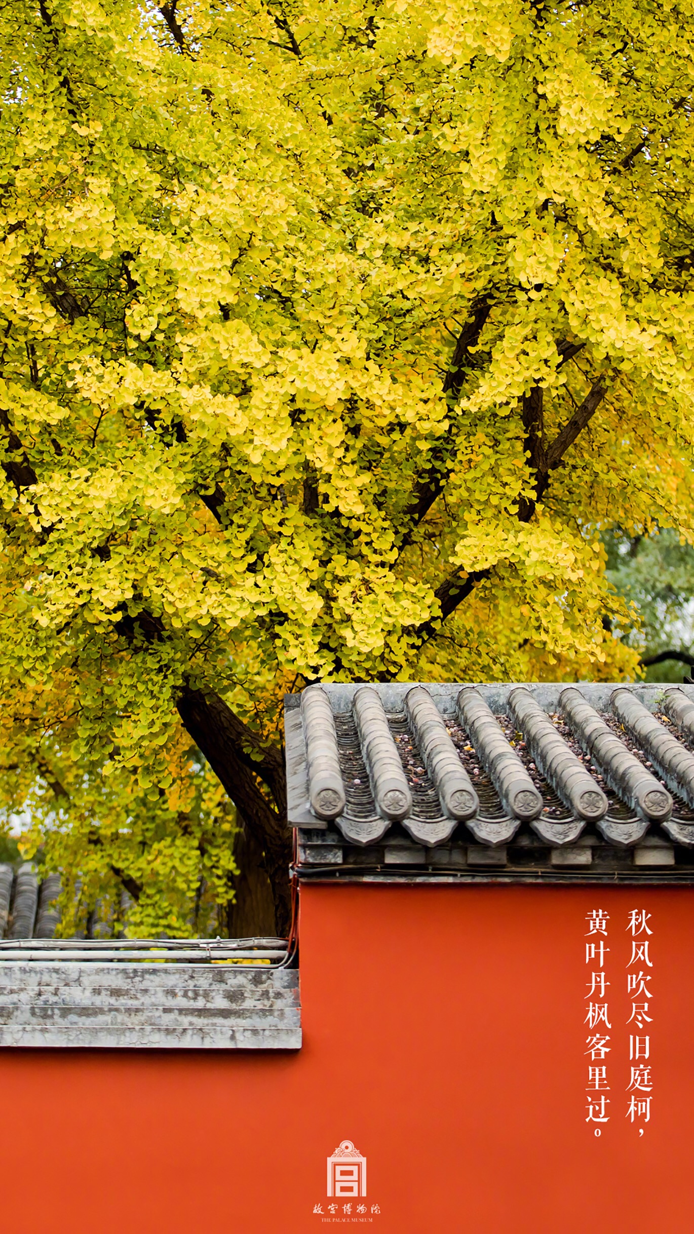 1920超高清手机自然风景壁纸,壁纸超清4k手机壁纸简单干净风景