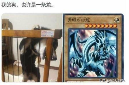 那些让你笑出眼泪的搞笑图片,50张搞笑图片总有一张能逗笑你