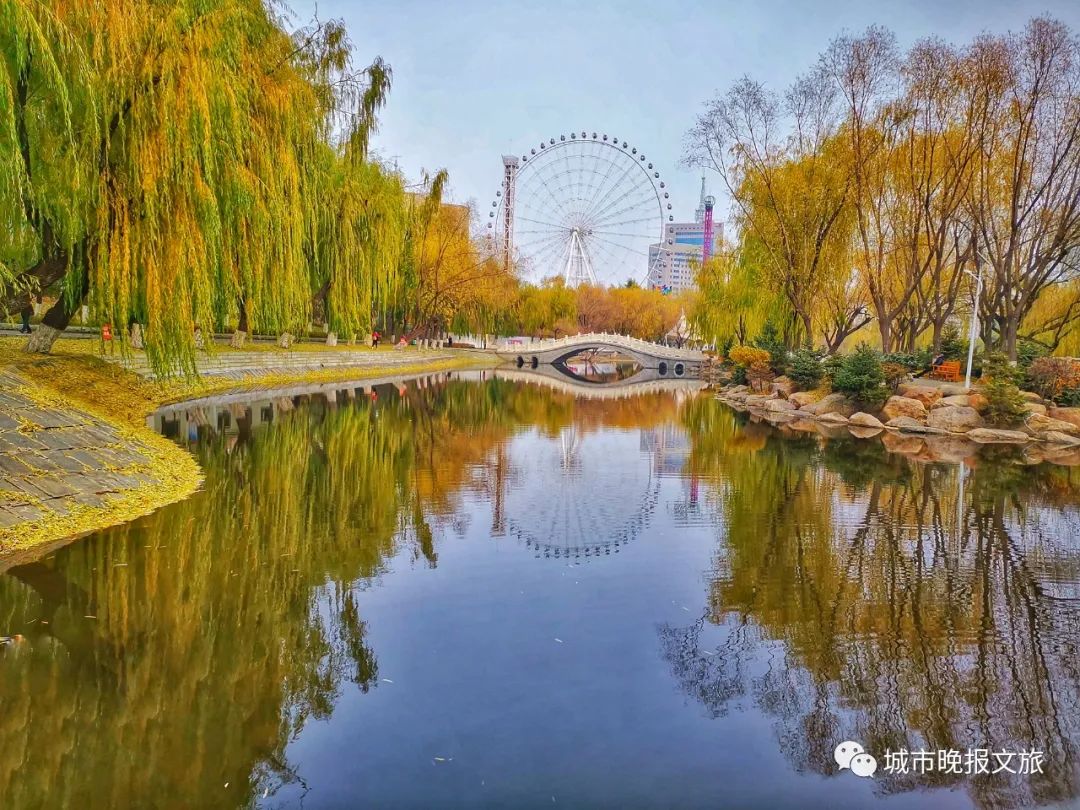 城晚拍拍丨秋色如画